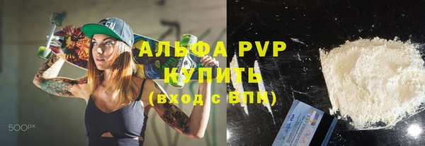 гидра Ельня