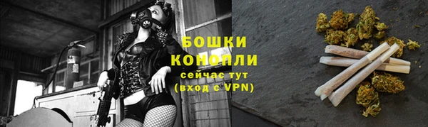 ECSTASY Елизово