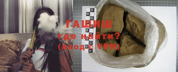 гидра Ельня