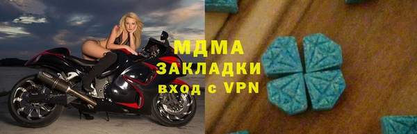 гидра Ельня