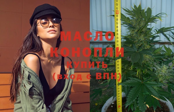 гидра Ельня