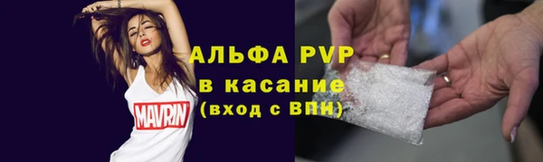 ГАЛЛЮЦИНОГЕННЫЕ ГРИБЫ Елабуга