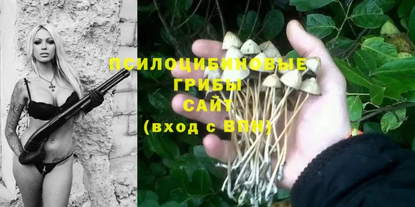 ECSTASY Елизово