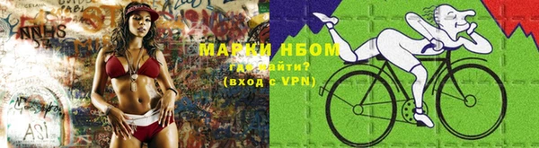гидра Ельня