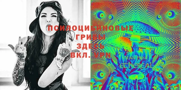 mdpv Дмитровск