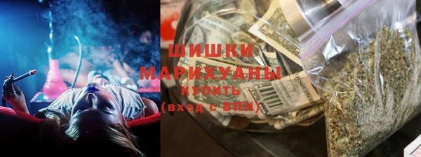 гидра Ельня