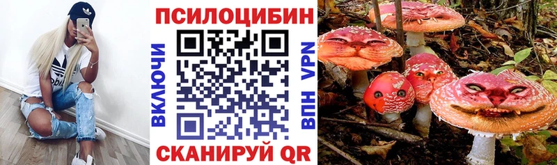 купить закладку  Заозёрный  KRAKEN ССЫЛКА  Псилоцибиновые грибы мицелий 
